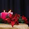 Set of 3: Vibrant Red Velvet Poinsettia Flower Stems | 11" Wide | 10 Lifelike Silk Petals | Festive Holiday Decor | Christmas Flowers | Home & Office Decor